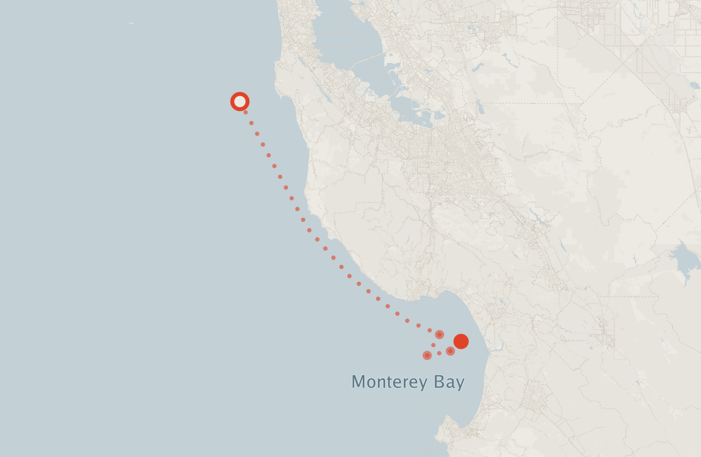 Activity map — real sighting points on an OpenStreetMap basemap