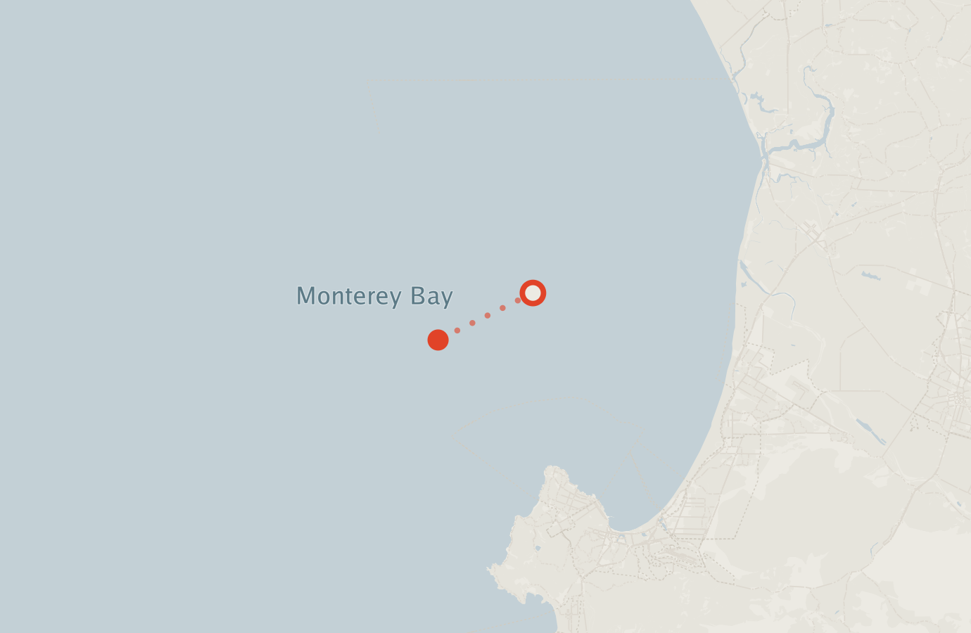 Activity map — real sighting points on an OpenStreetMap basemap