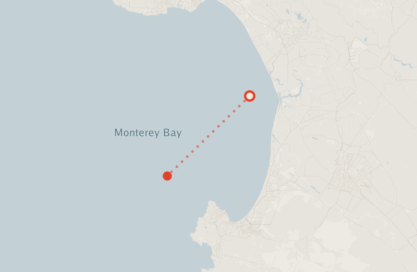 Activity map — real sighting points on an OpenStreetMap basemap