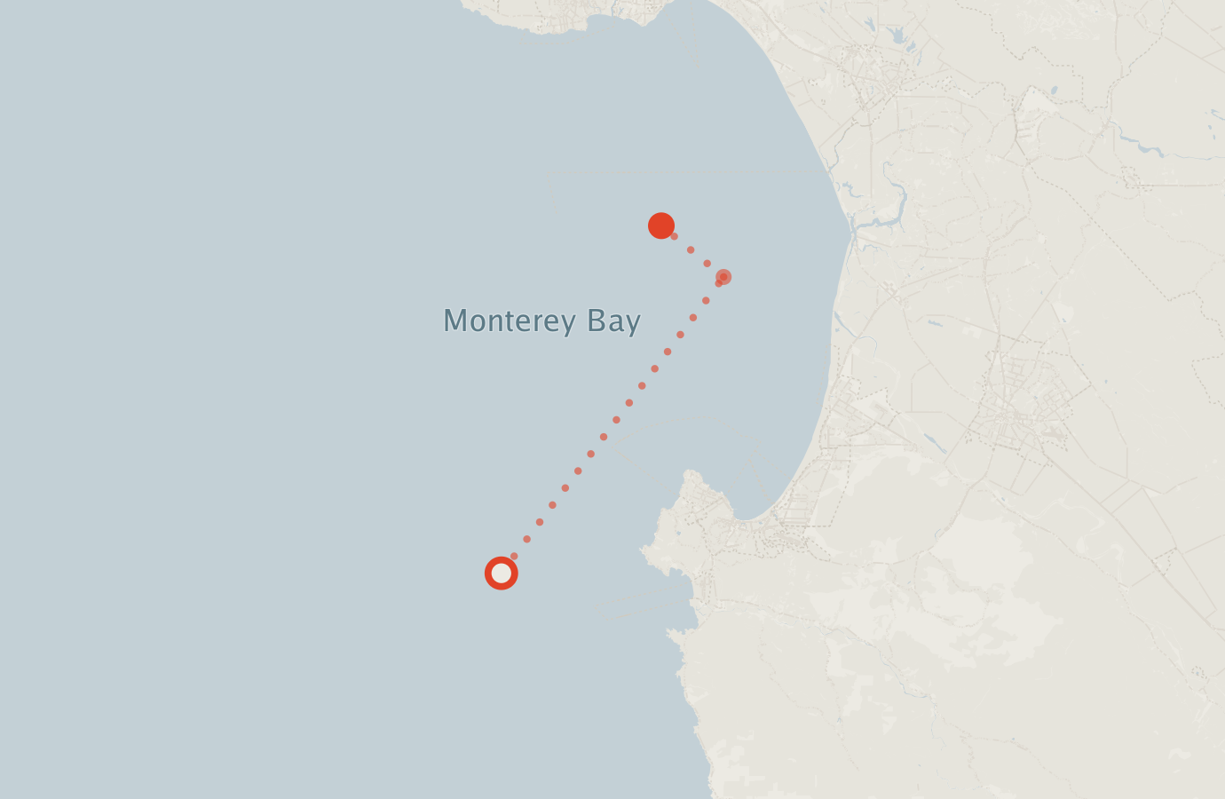 Activity map — real sighting points on an OpenStreetMap basemap