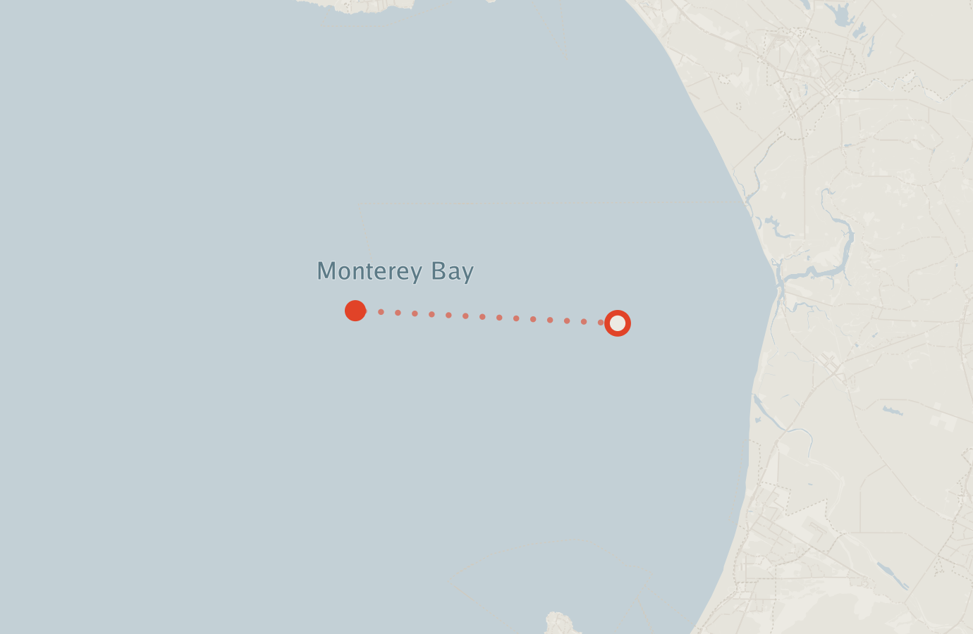 Activity map — real sighting points on an OpenStreetMap basemap