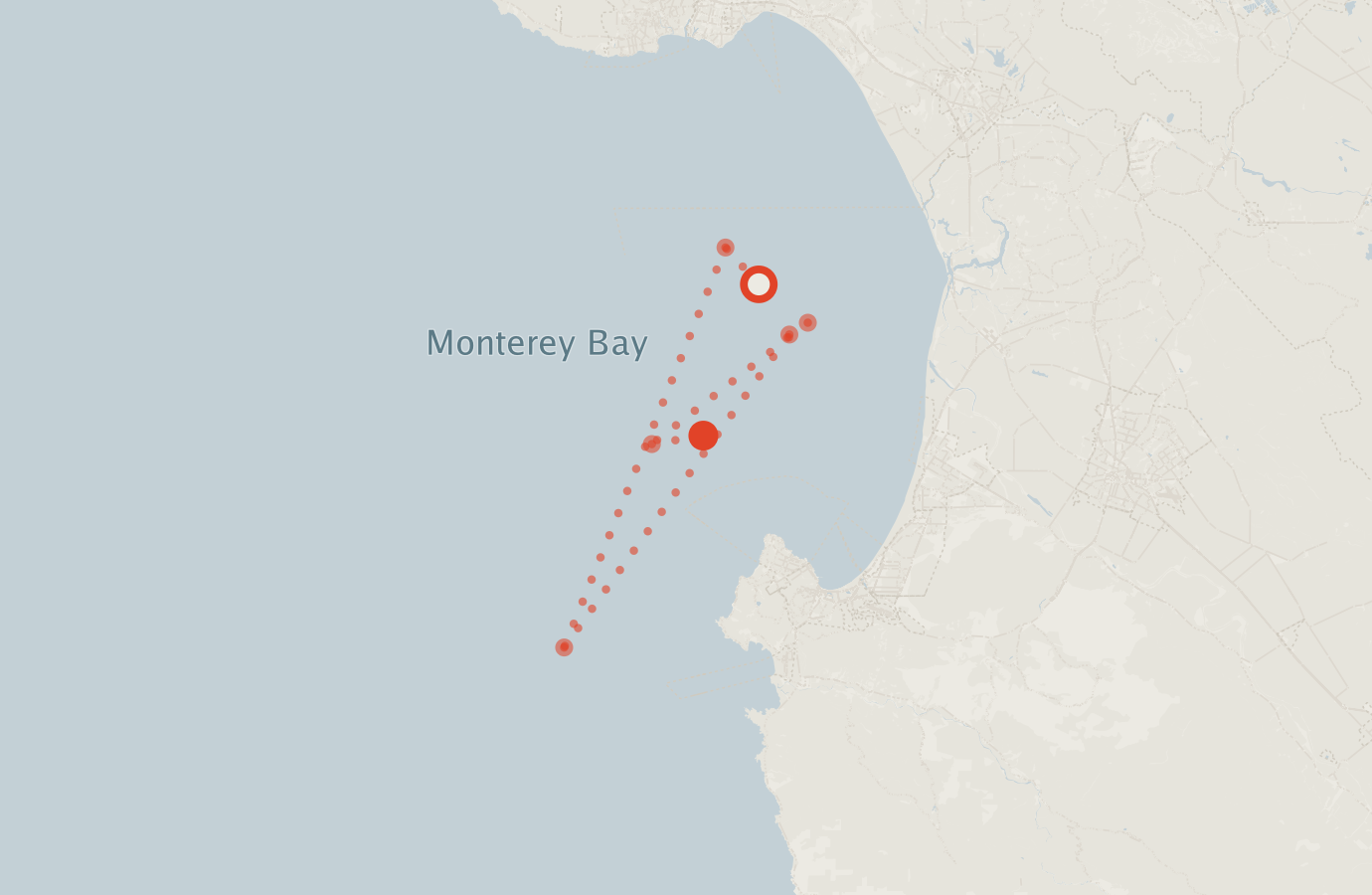 Activity map — real sighting points on an OpenStreetMap basemap
