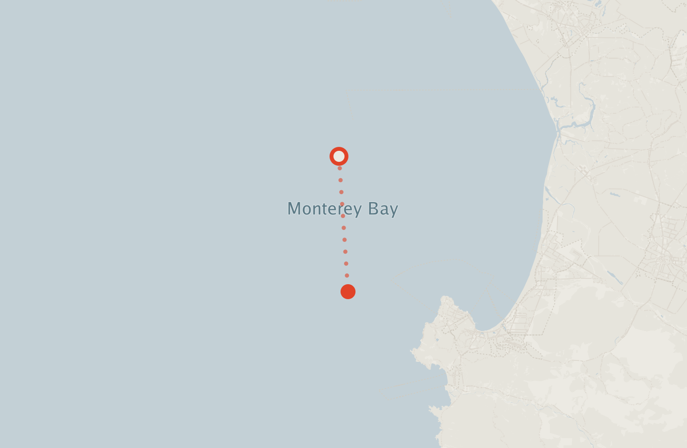 Activity map — real sighting points on an OpenStreetMap basemap