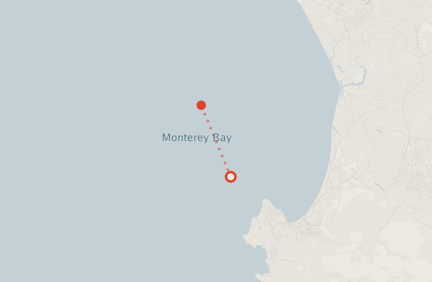 Activity map — real sighting points on an OpenStreetMap basemap