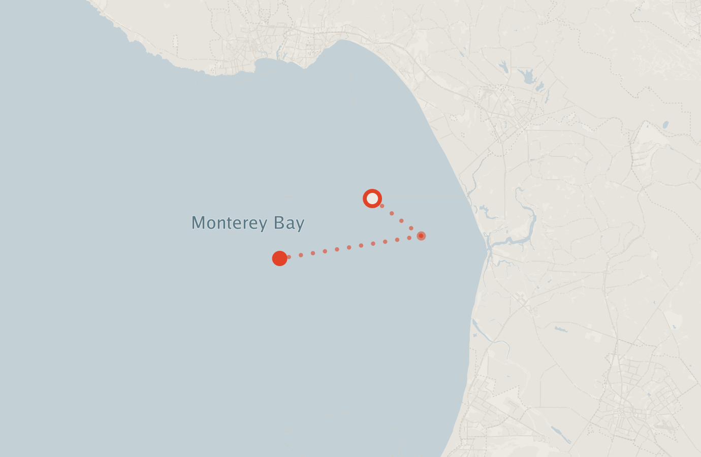 Activity map — real sighting points on an OpenStreetMap basemap