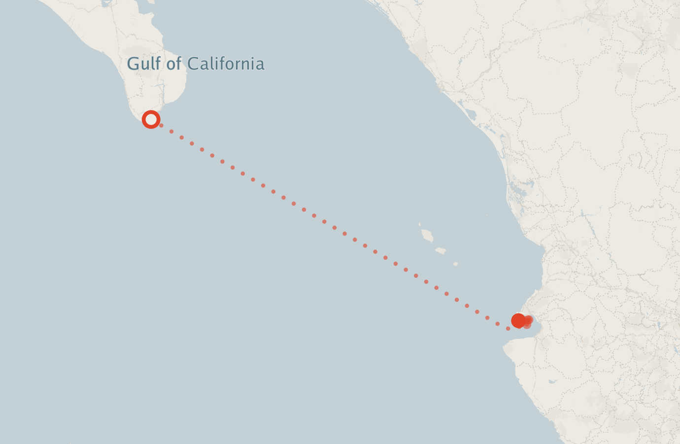 Activity map — real sighting points on an OpenStreetMap basemap