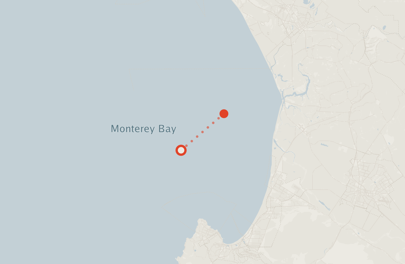 Activity map — real sighting points on an OpenStreetMap basemap