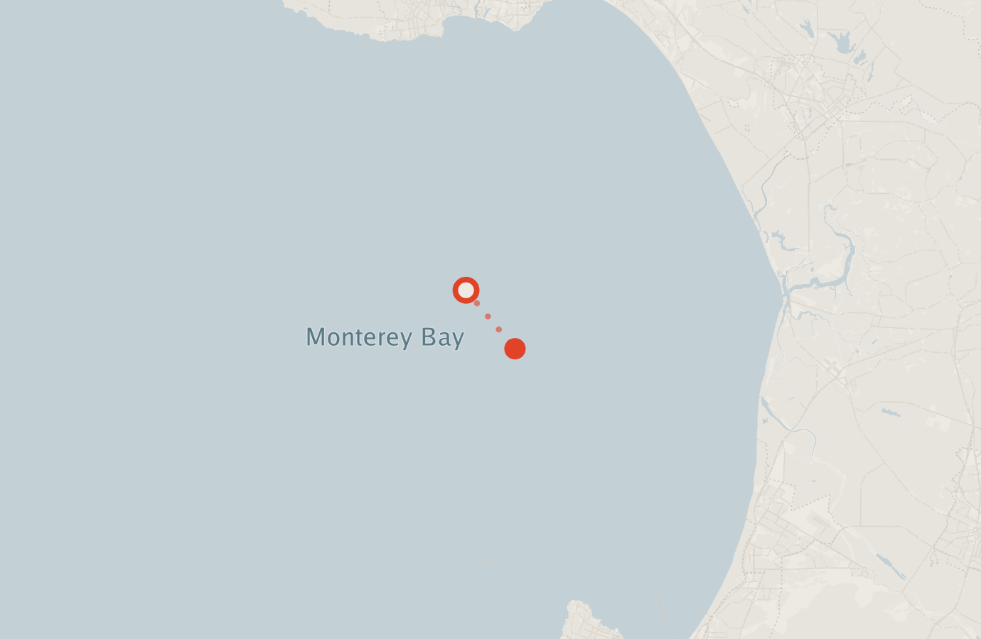 Activity map — real sighting points on an OpenStreetMap basemap