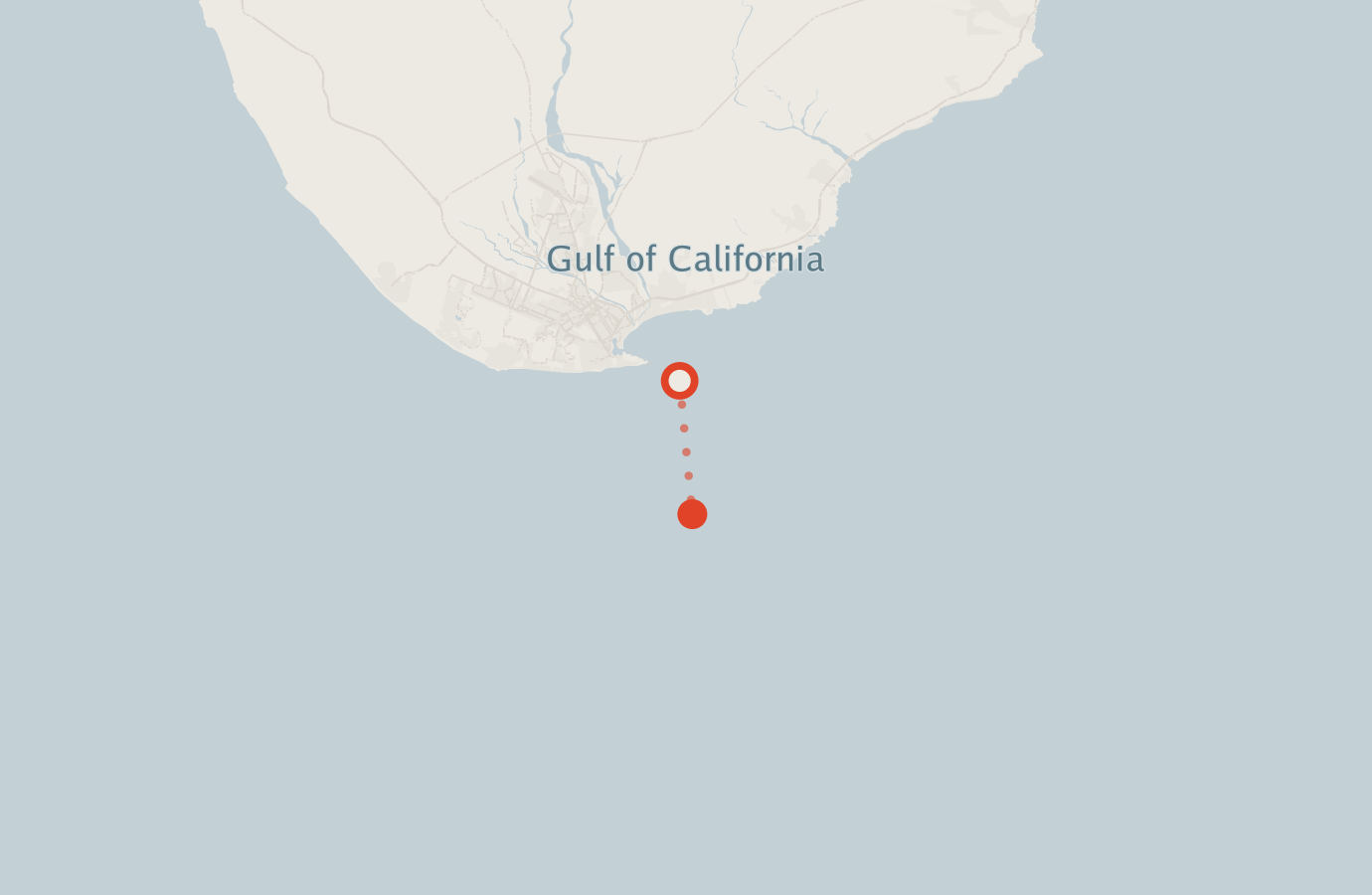 Activity map — real sighting points on an OpenStreetMap basemap