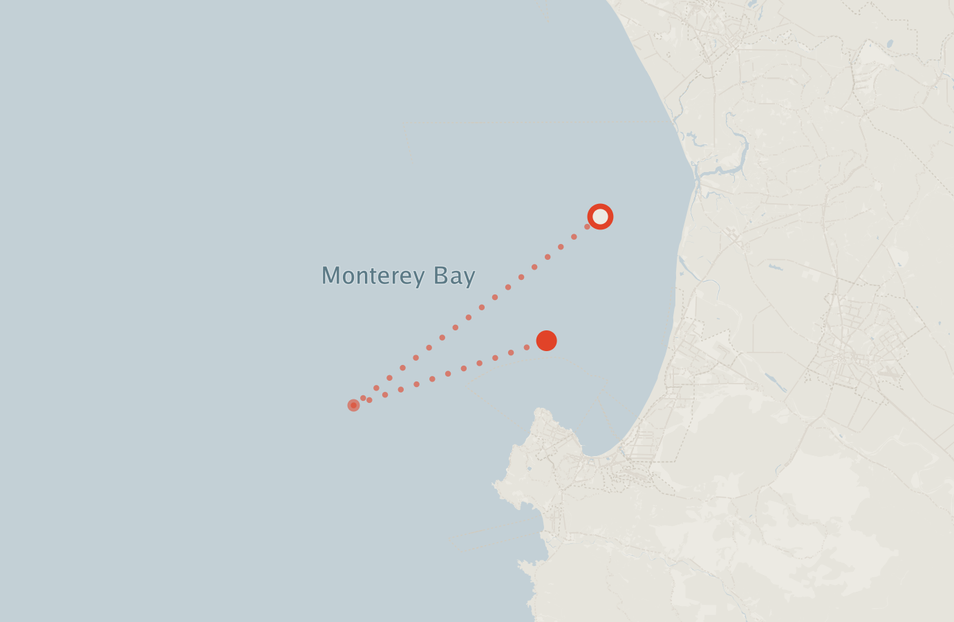 Activity map — real sighting points on an OpenStreetMap basemap
