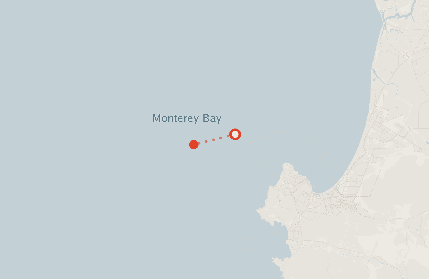 Activity map — real sighting points on an OpenStreetMap basemap
