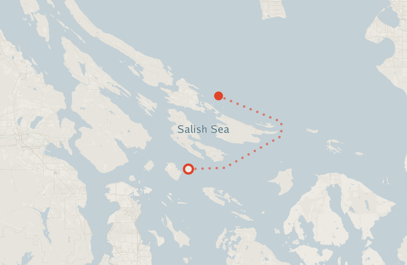 Activity map — real sighting points on an OpenStreetMap basemap
