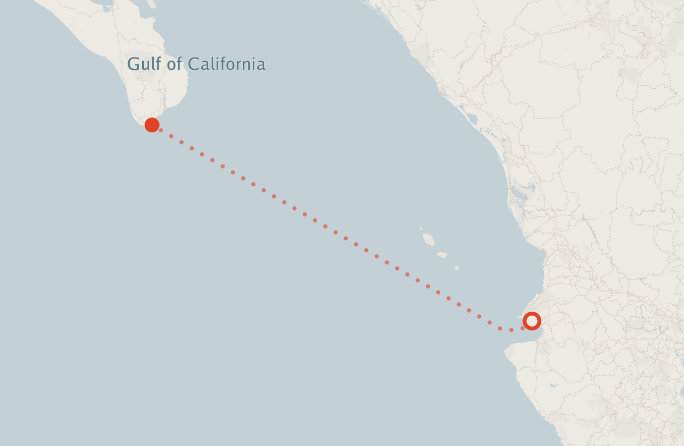 Activity map — real sighting points on an OpenStreetMap basemap