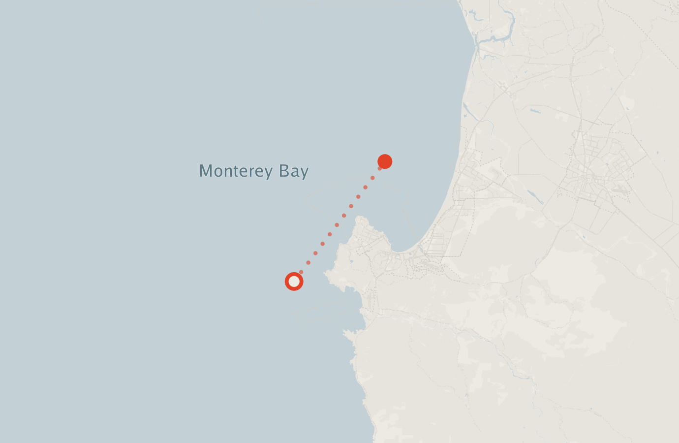 Activity map — real sighting points on an OpenStreetMap basemap