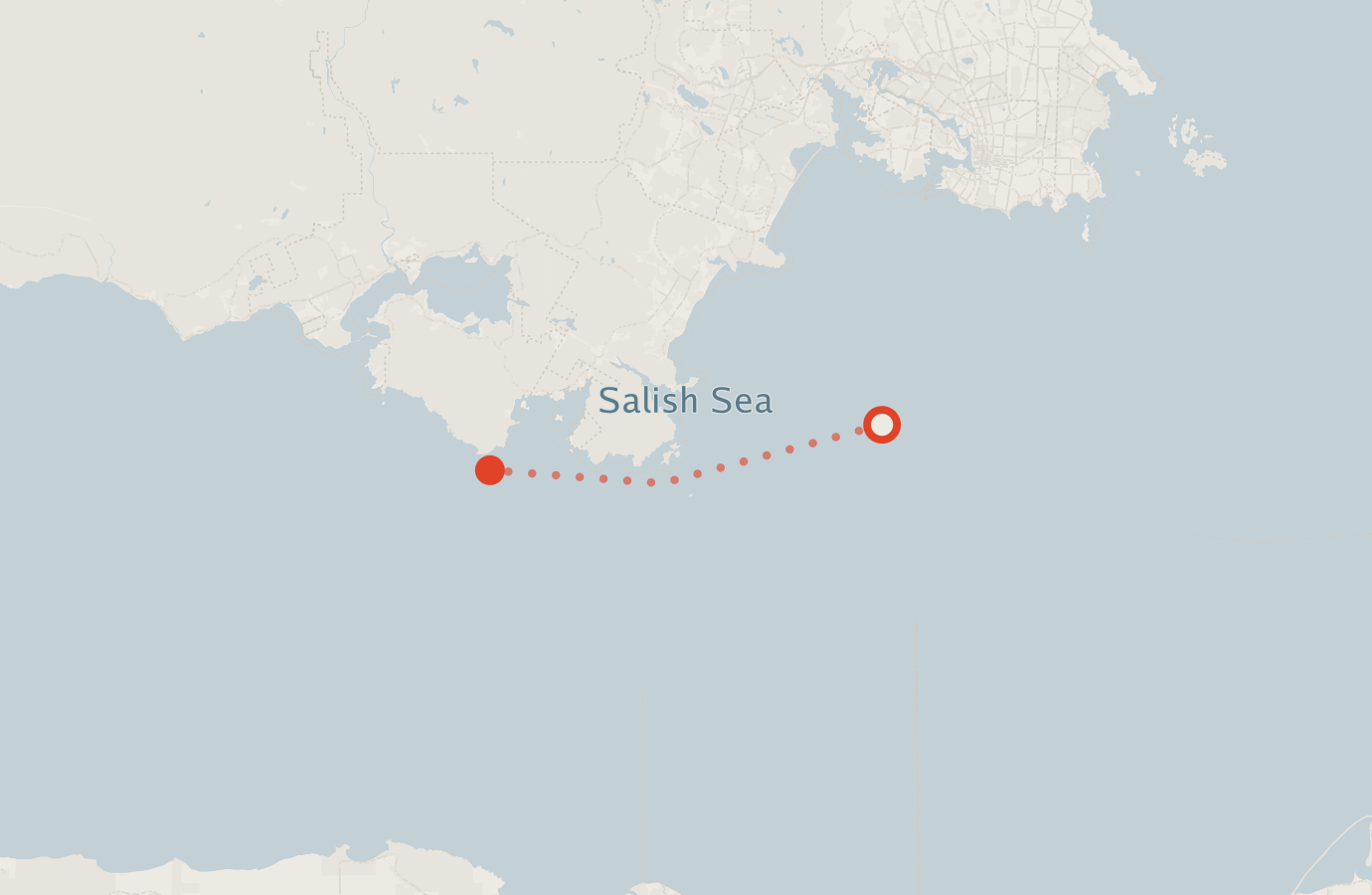 Activity map — real sighting points on an OpenStreetMap basemap
