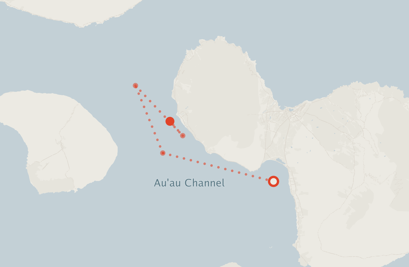 Activity map — real sighting points on an OpenStreetMap basemap