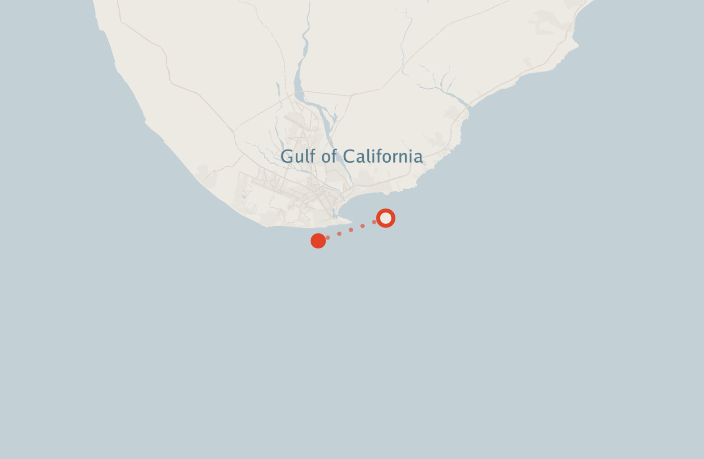 Activity map — real sighting points on an OpenStreetMap basemap