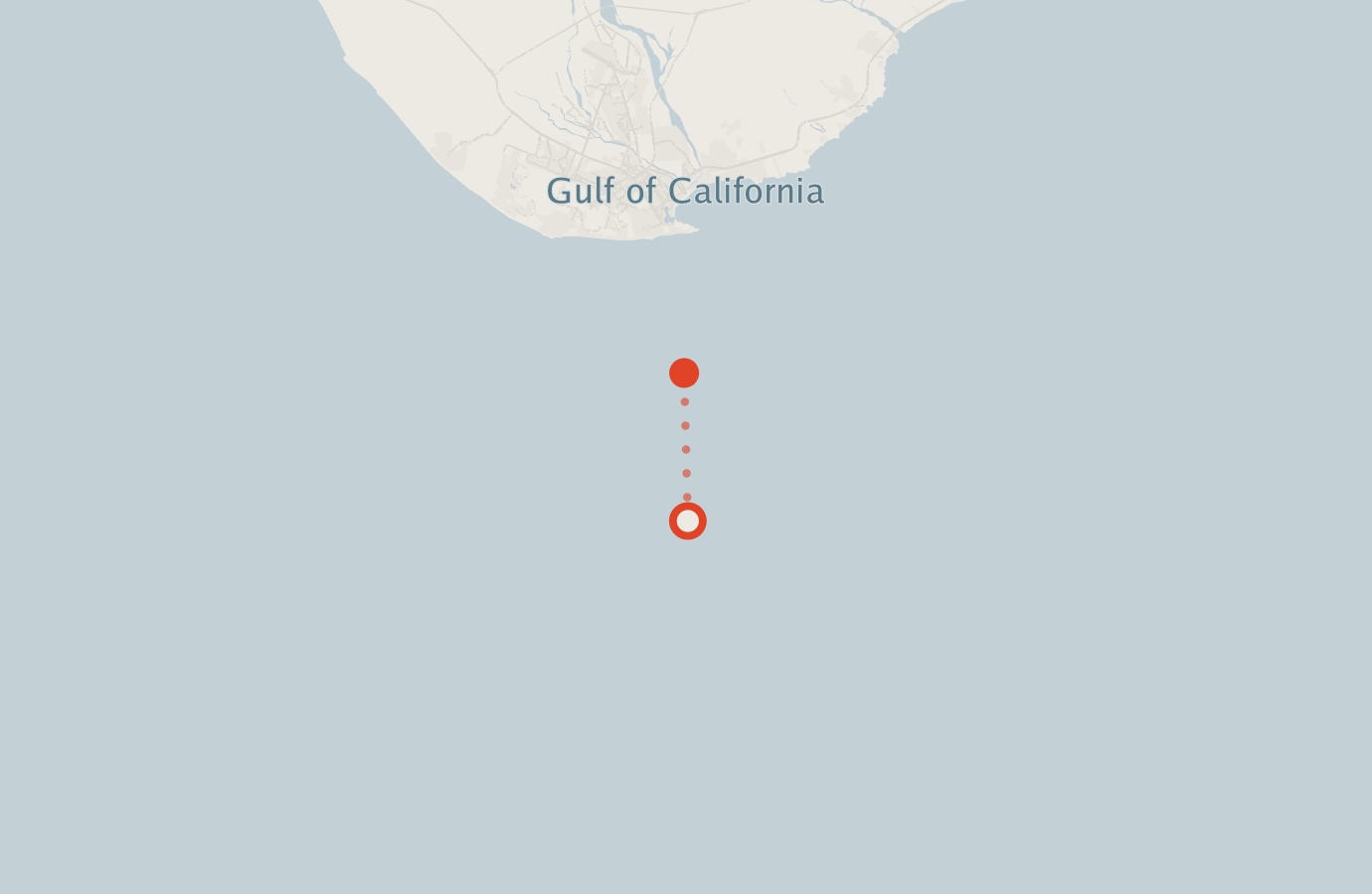 Activity map — real sighting points on an OpenStreetMap basemap