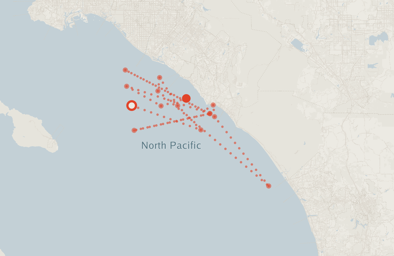 Activity map — real sighting points on an OpenStreetMap basemap