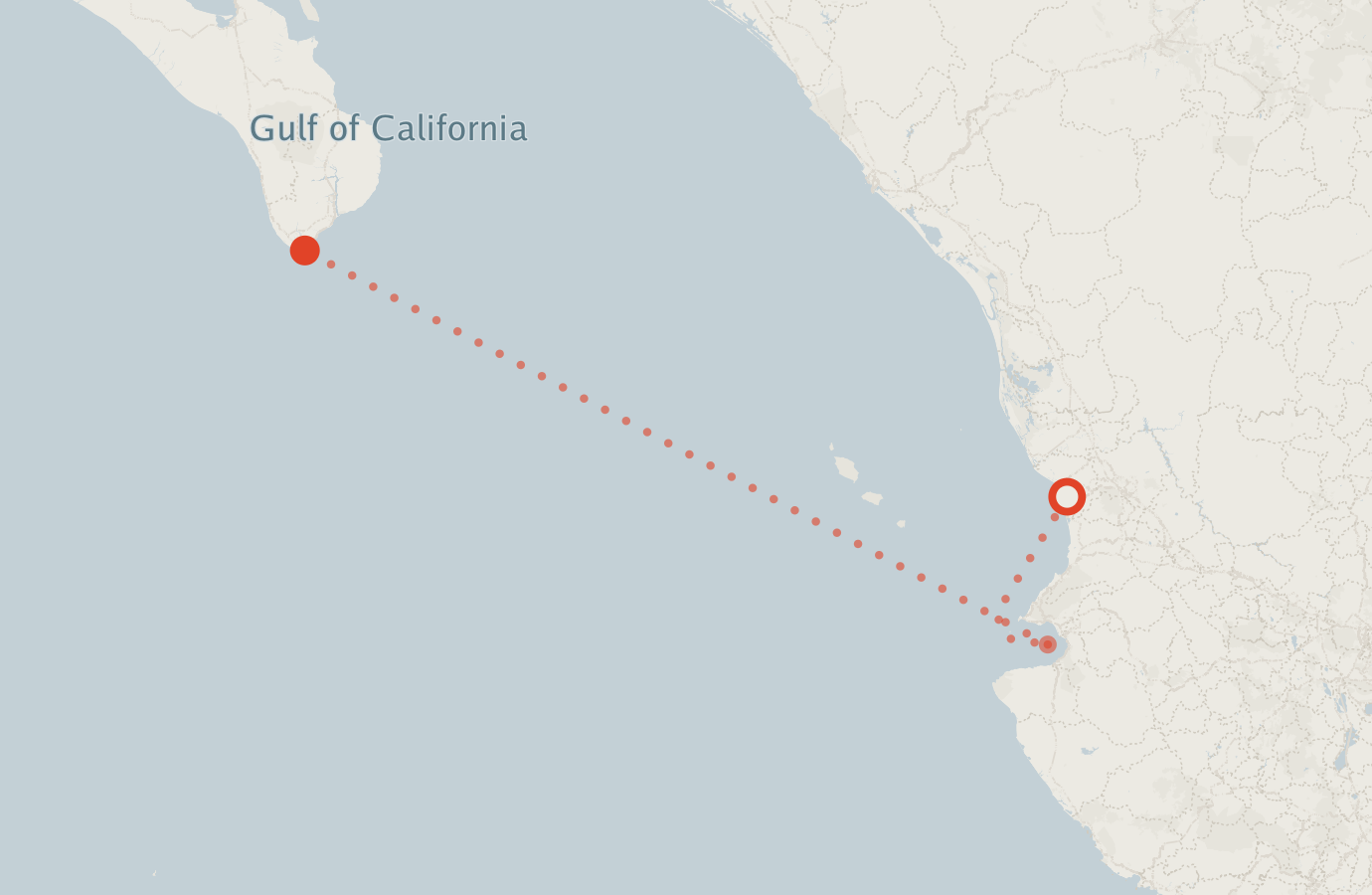 Activity map — real sighting points on an OpenStreetMap basemap