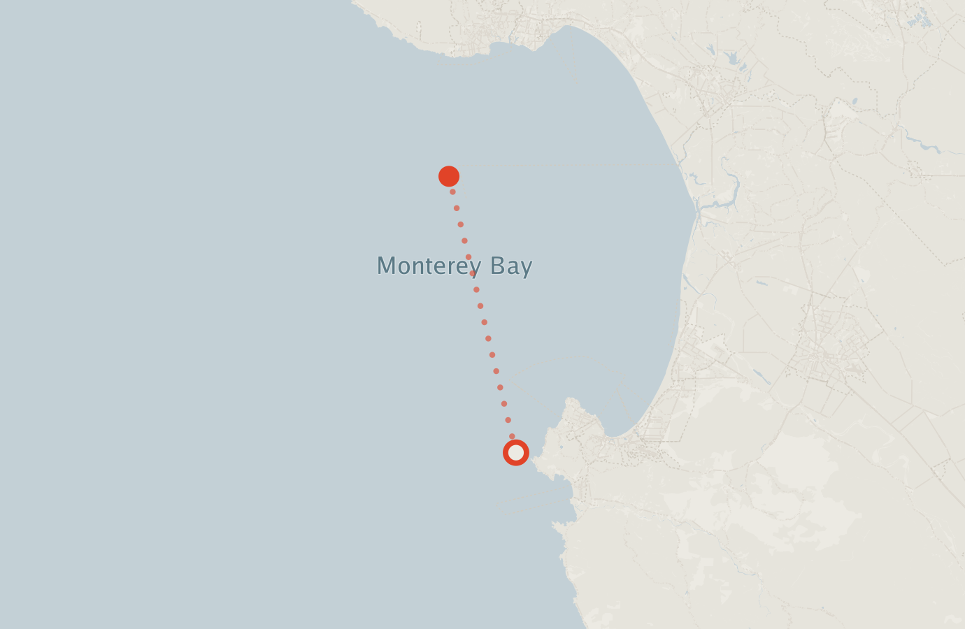Activity map — real sighting points on an OpenStreetMap basemap