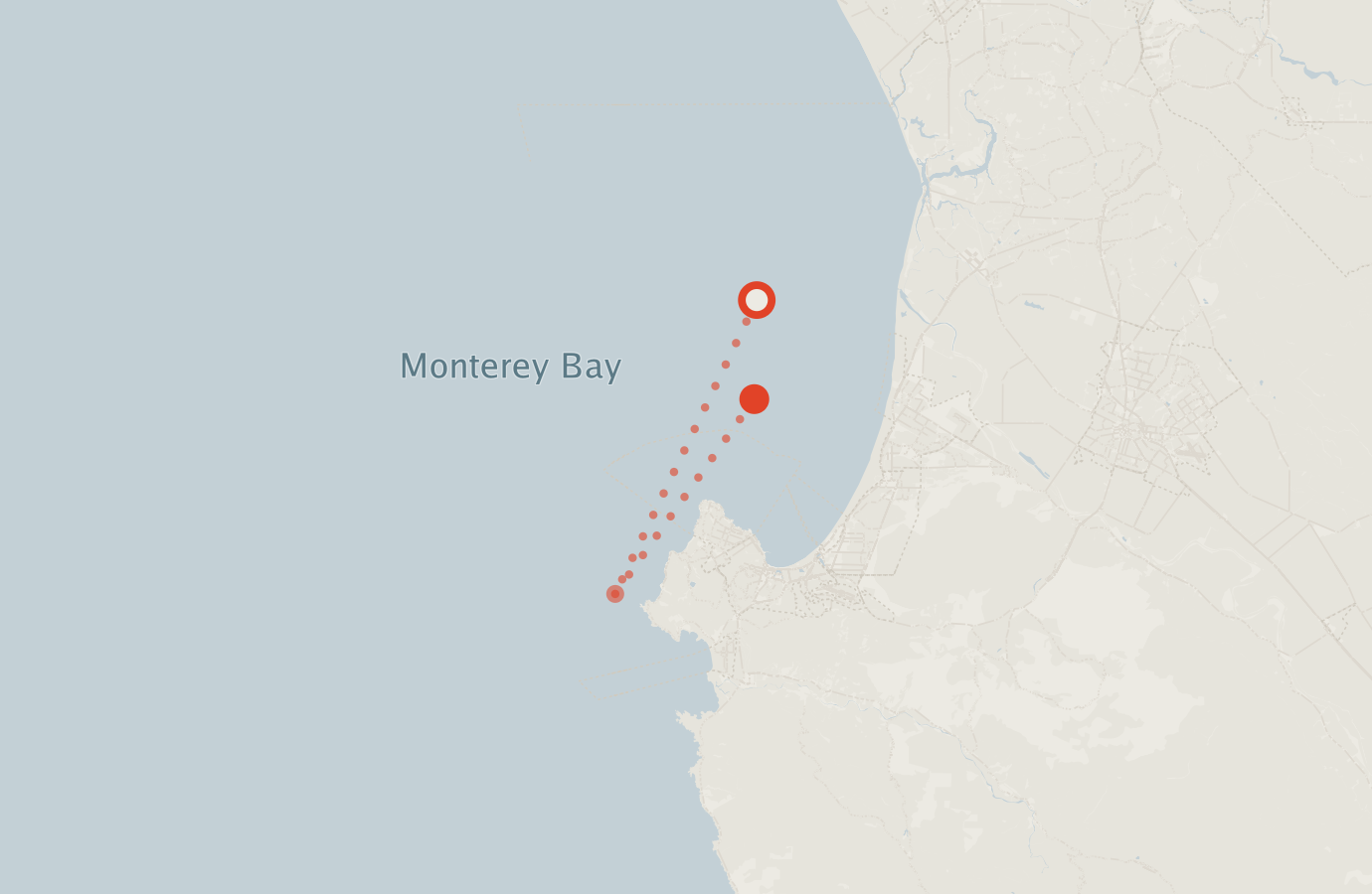 Activity map — real sighting points on an OpenStreetMap basemap