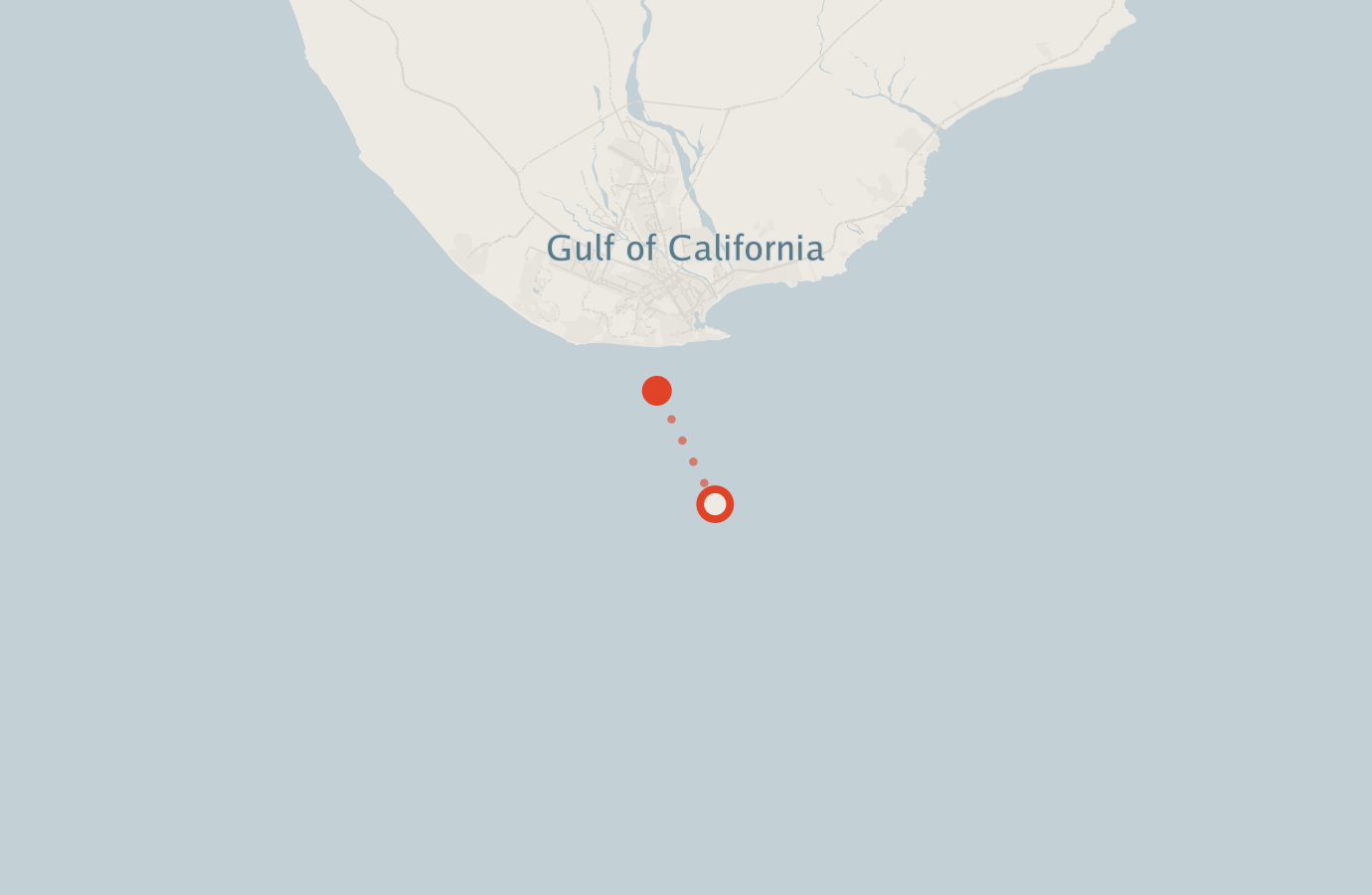 Activity map — real sighting points on an OpenStreetMap basemap