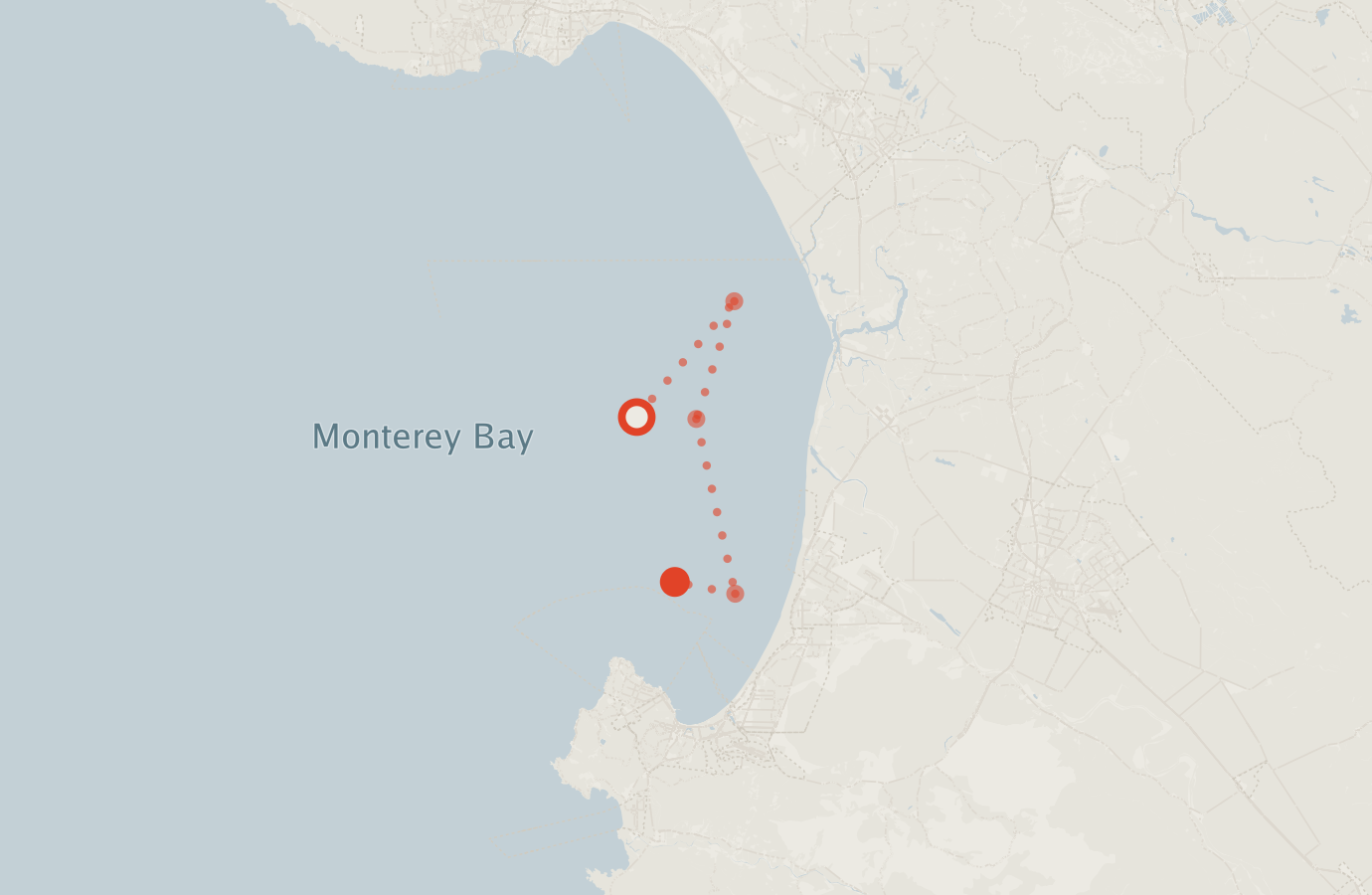 Activity map — real sighting points on an OpenStreetMap basemap