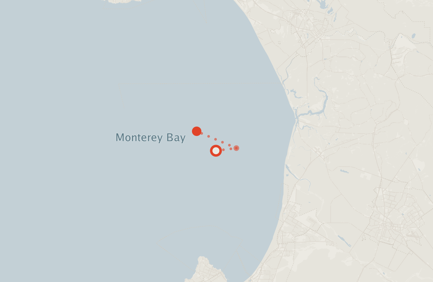 Activity map — real sighting points on an OpenStreetMap basemap
