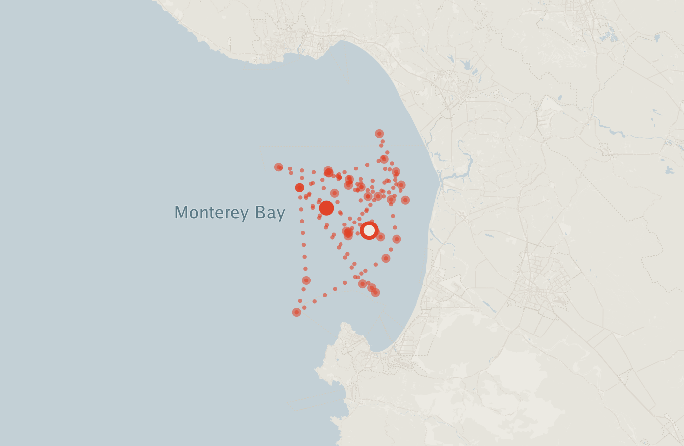 Activity map — real sighting points on an OpenStreetMap basemap