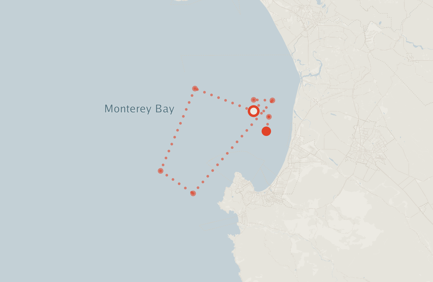 Activity map — real sighting points on an OpenStreetMap basemap