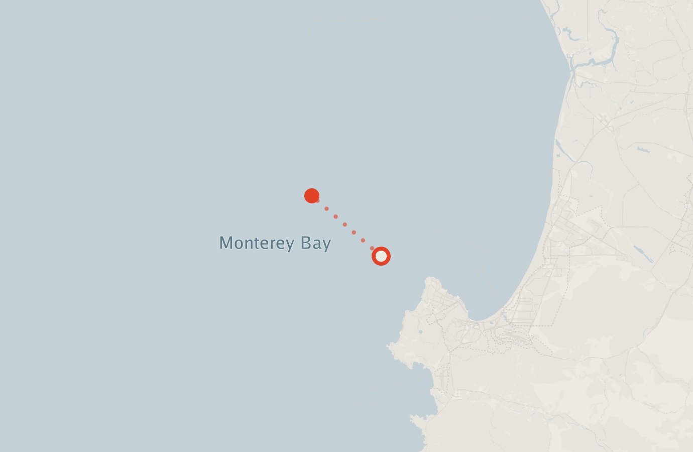 Activity map — real sighting points on an OpenStreetMap basemap