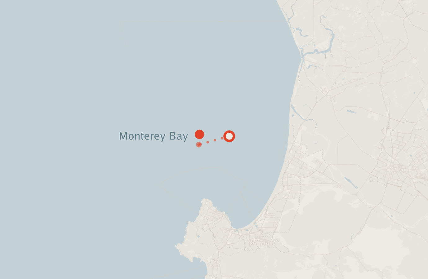 Activity map — real sighting points on an OpenStreetMap basemap