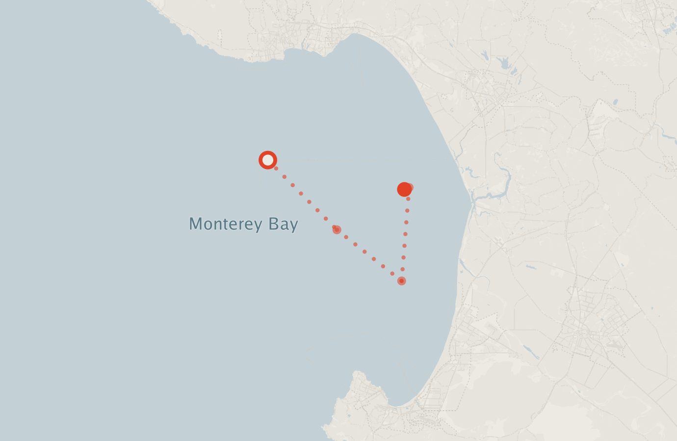 Activity map — real sighting points on an OpenStreetMap basemap
