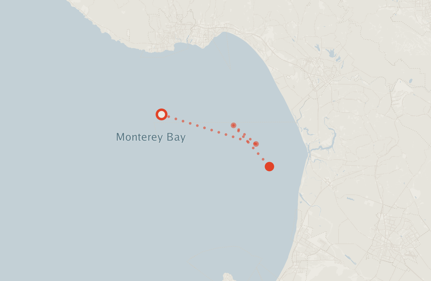 Activity map — real sighting points on an OpenStreetMap basemap
