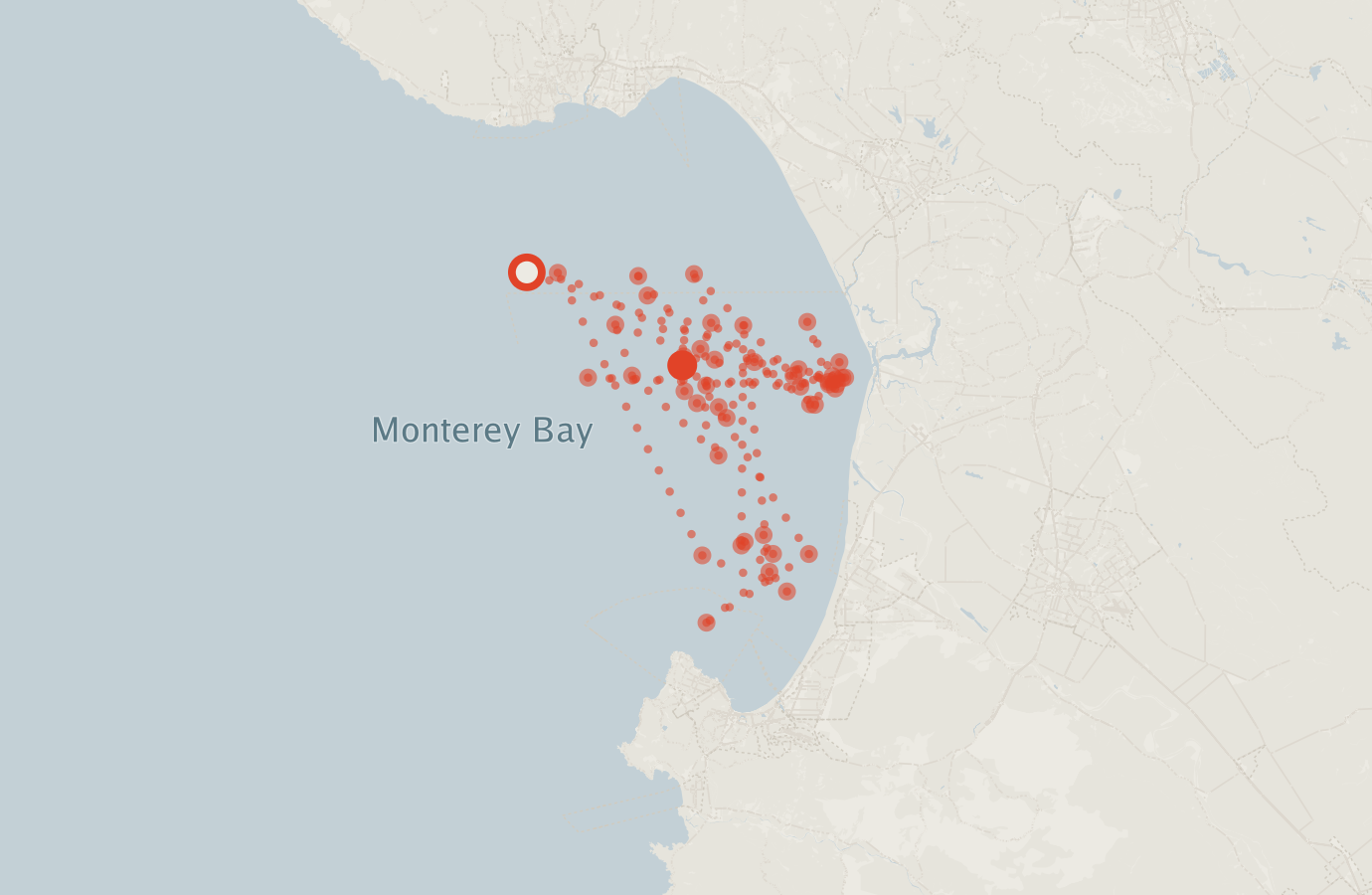 Activity map — real sighting points on an OpenStreetMap basemap