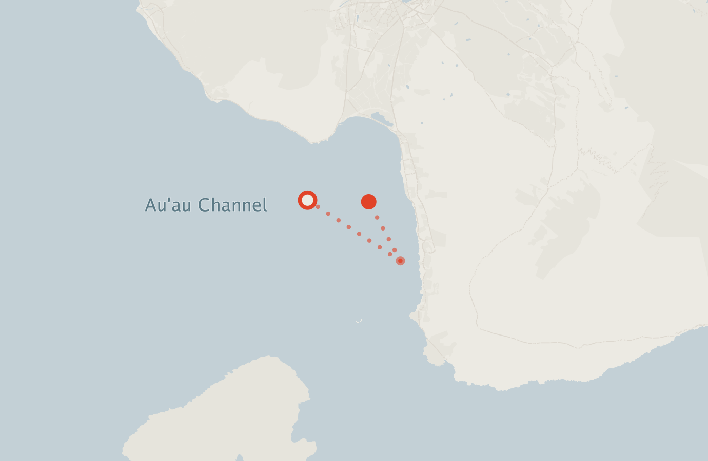 Activity map — real sighting points on an OpenStreetMap basemap