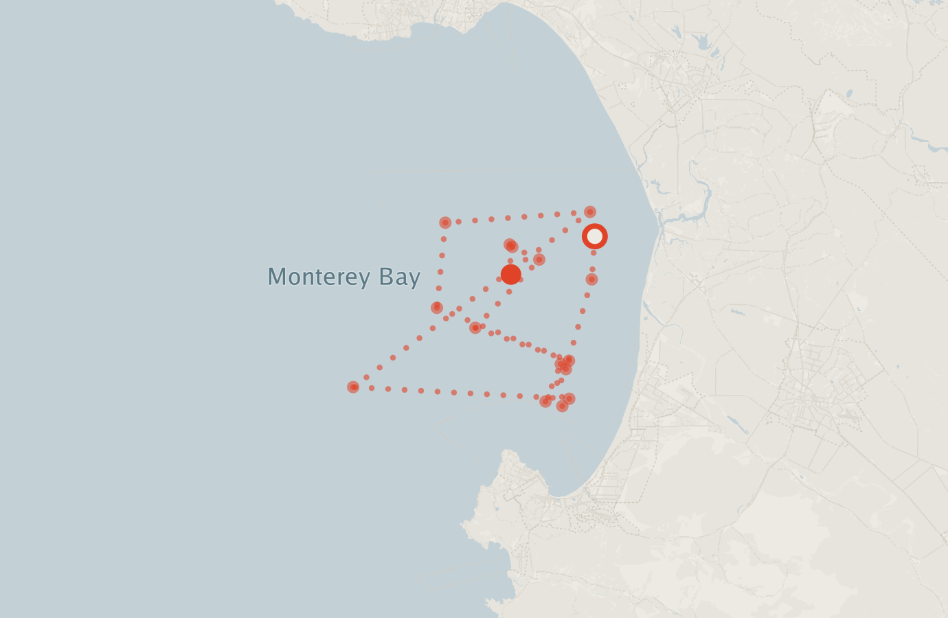 Activity map — real sighting points on an OpenStreetMap basemap