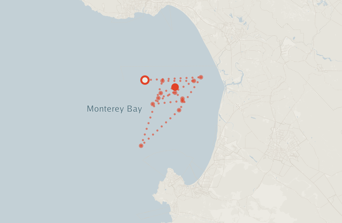 Activity map — real sighting points on an OpenStreetMap basemap