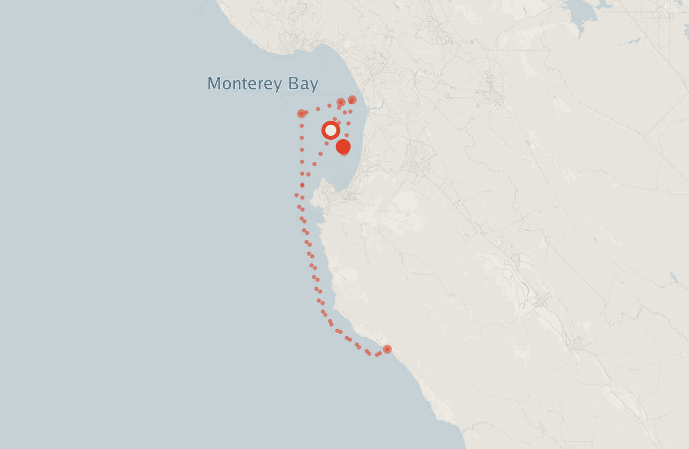 Activity map — real sighting points on an OpenStreetMap basemap