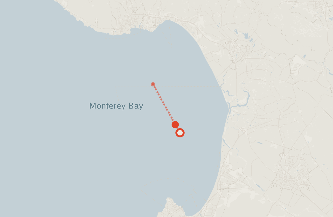 Activity map — real sighting points on an OpenStreetMap basemap