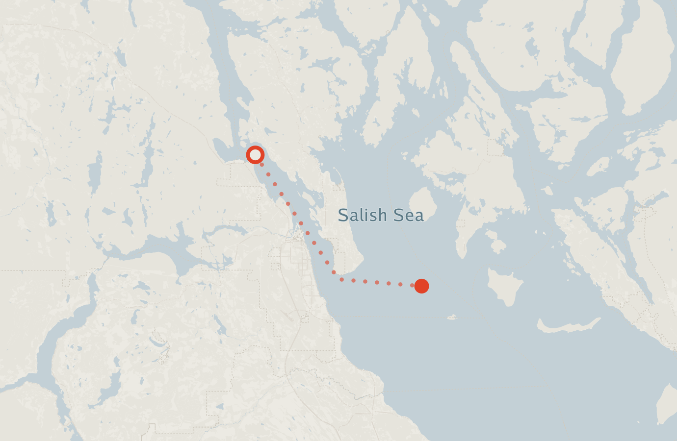 Activity map — real sighting points on an OpenStreetMap basemap