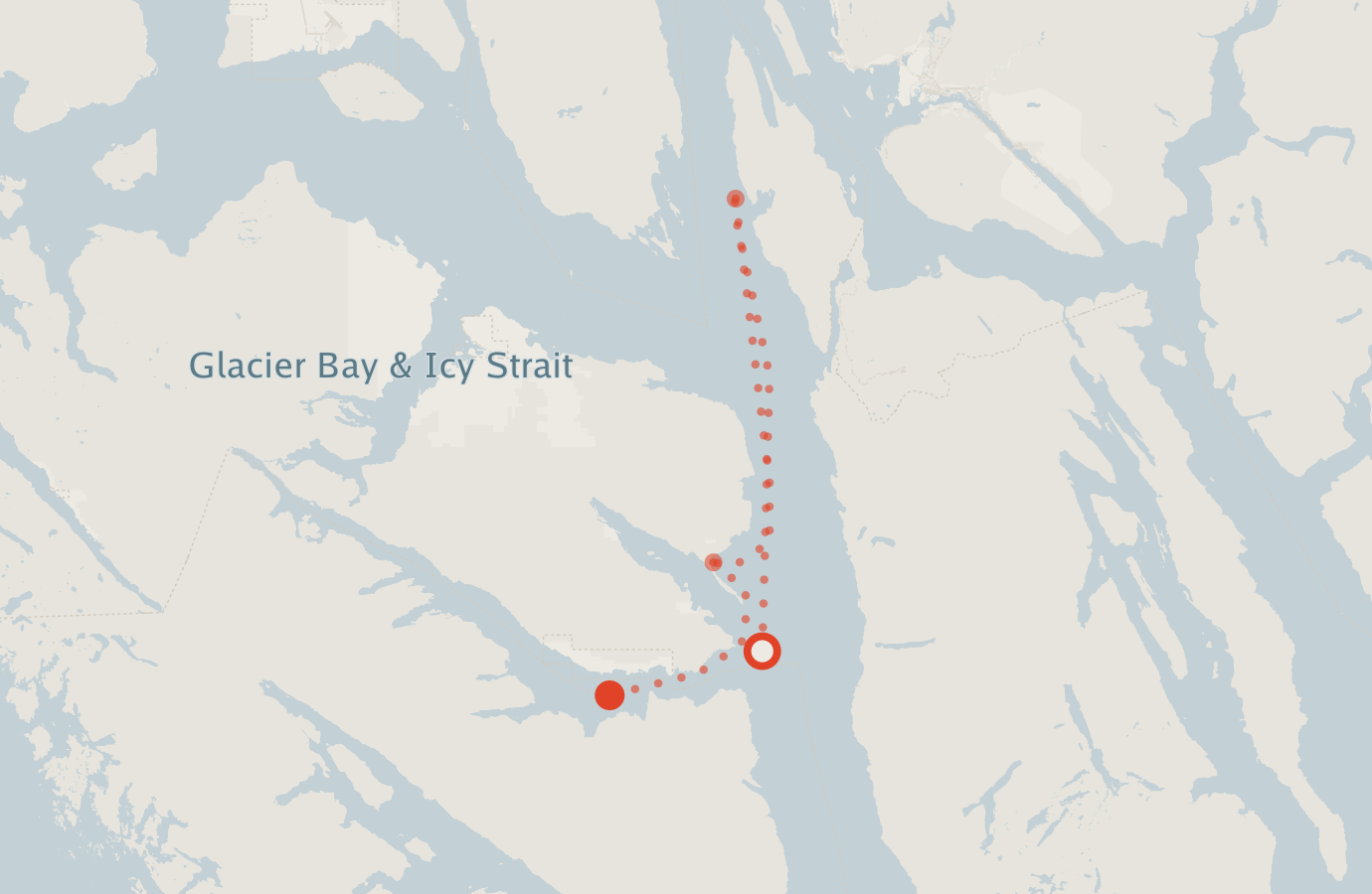 Activity map — real sighting points on an OpenStreetMap basemap