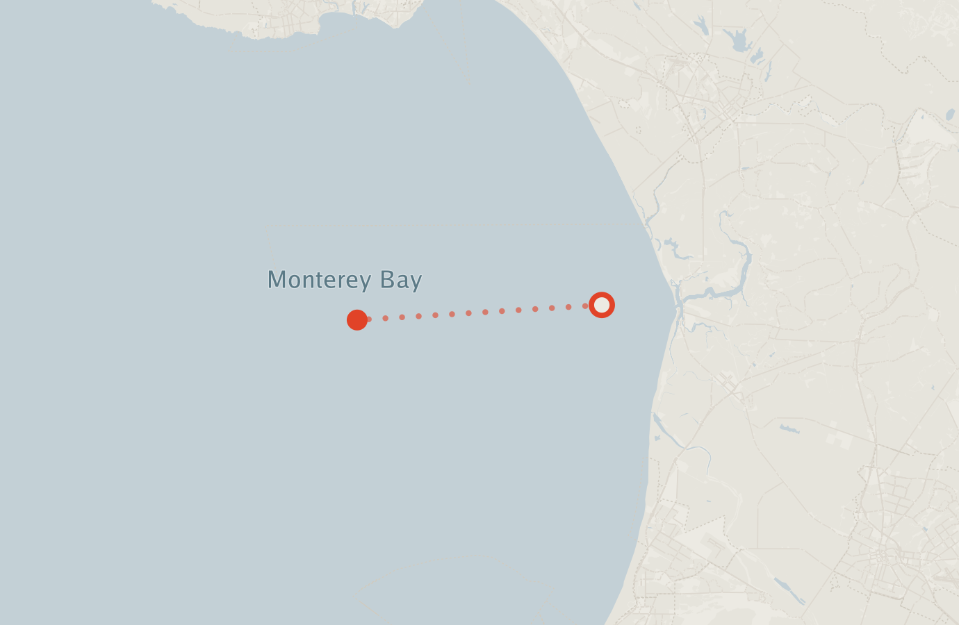 Activity map — real sighting points on an OpenStreetMap basemap