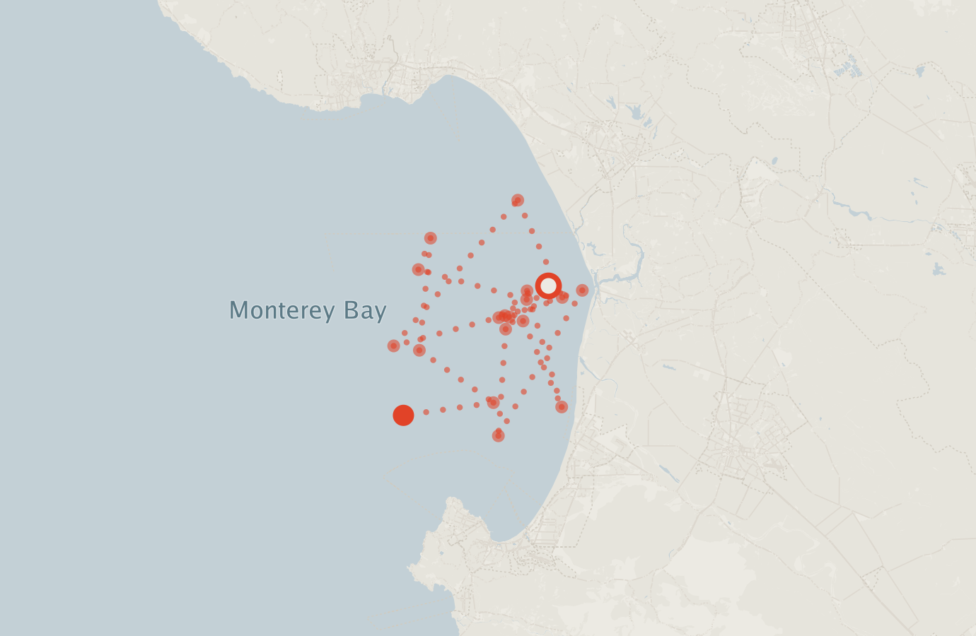 Activity map — real sighting points on an OpenStreetMap basemap