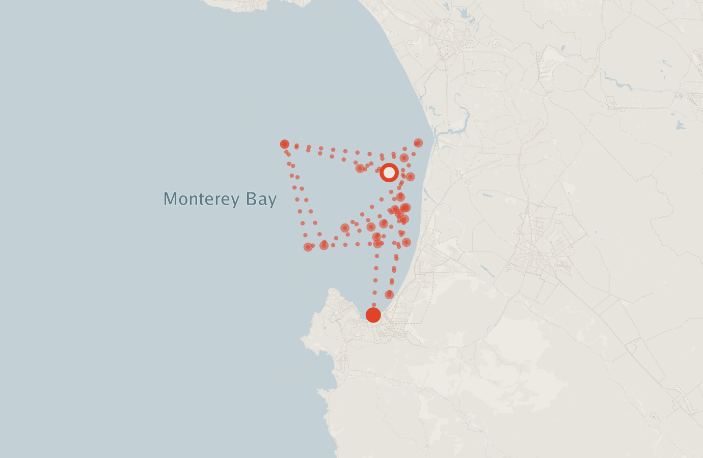 Activity map — real sighting points on an OpenStreetMap basemap