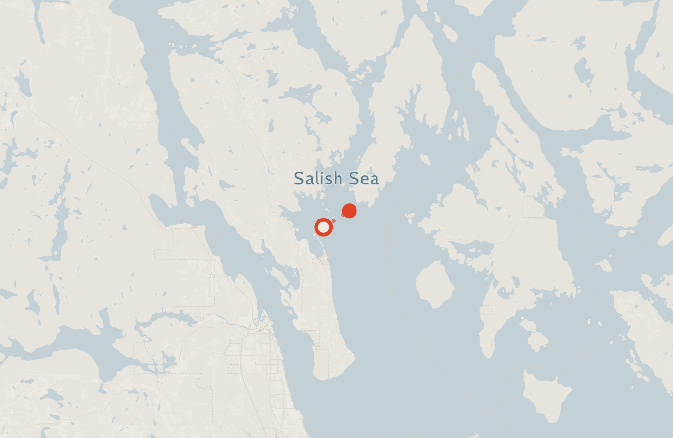 Activity map — real sighting points on an OpenStreetMap basemap