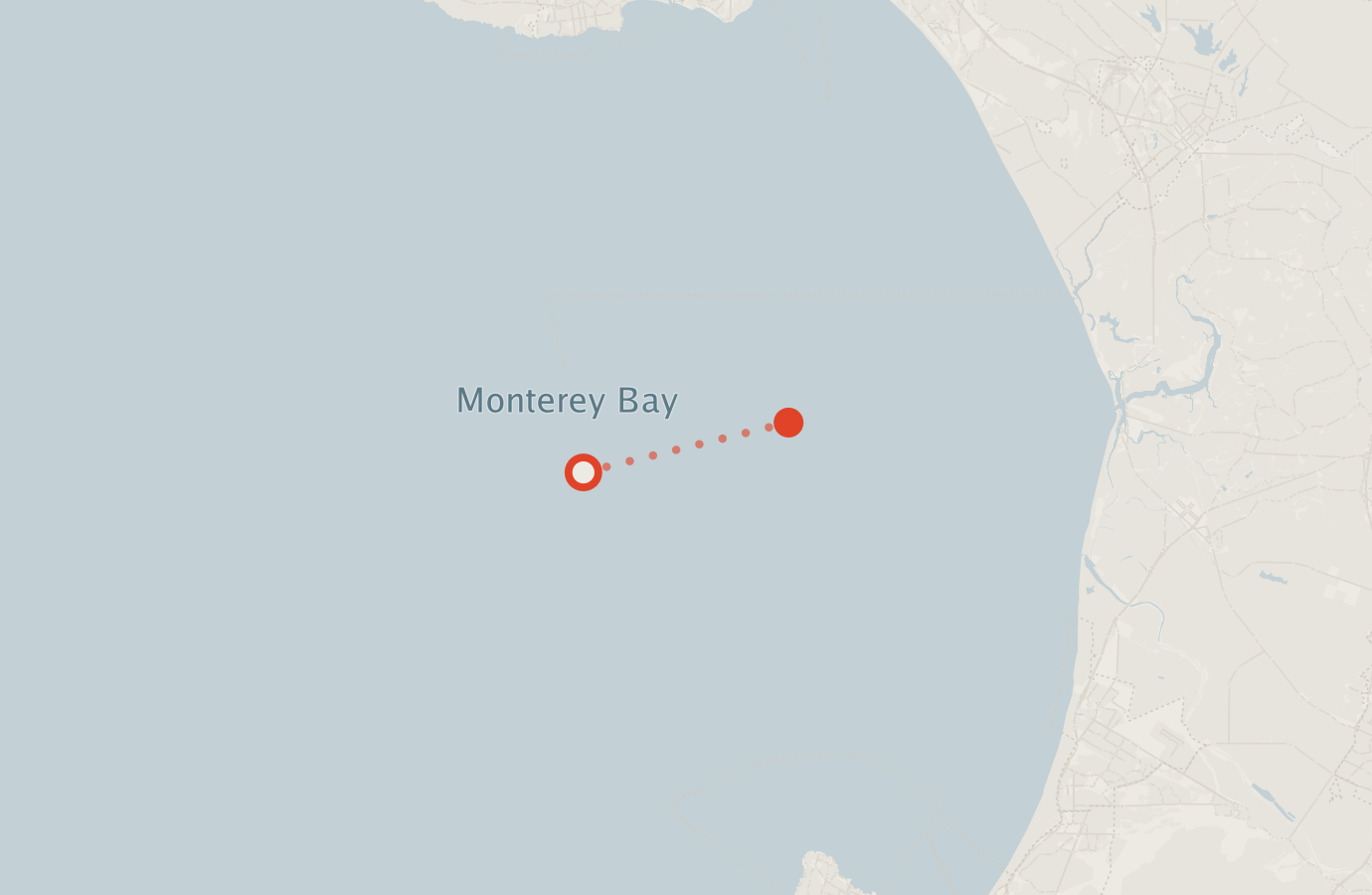 Activity map — real sighting points on an OpenStreetMap basemap