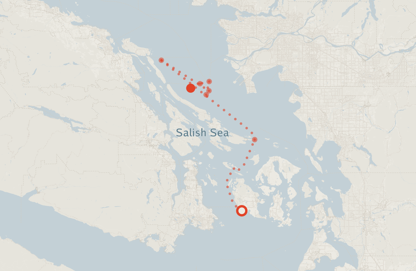 Activity map — real sighting points on an OpenStreetMap basemap