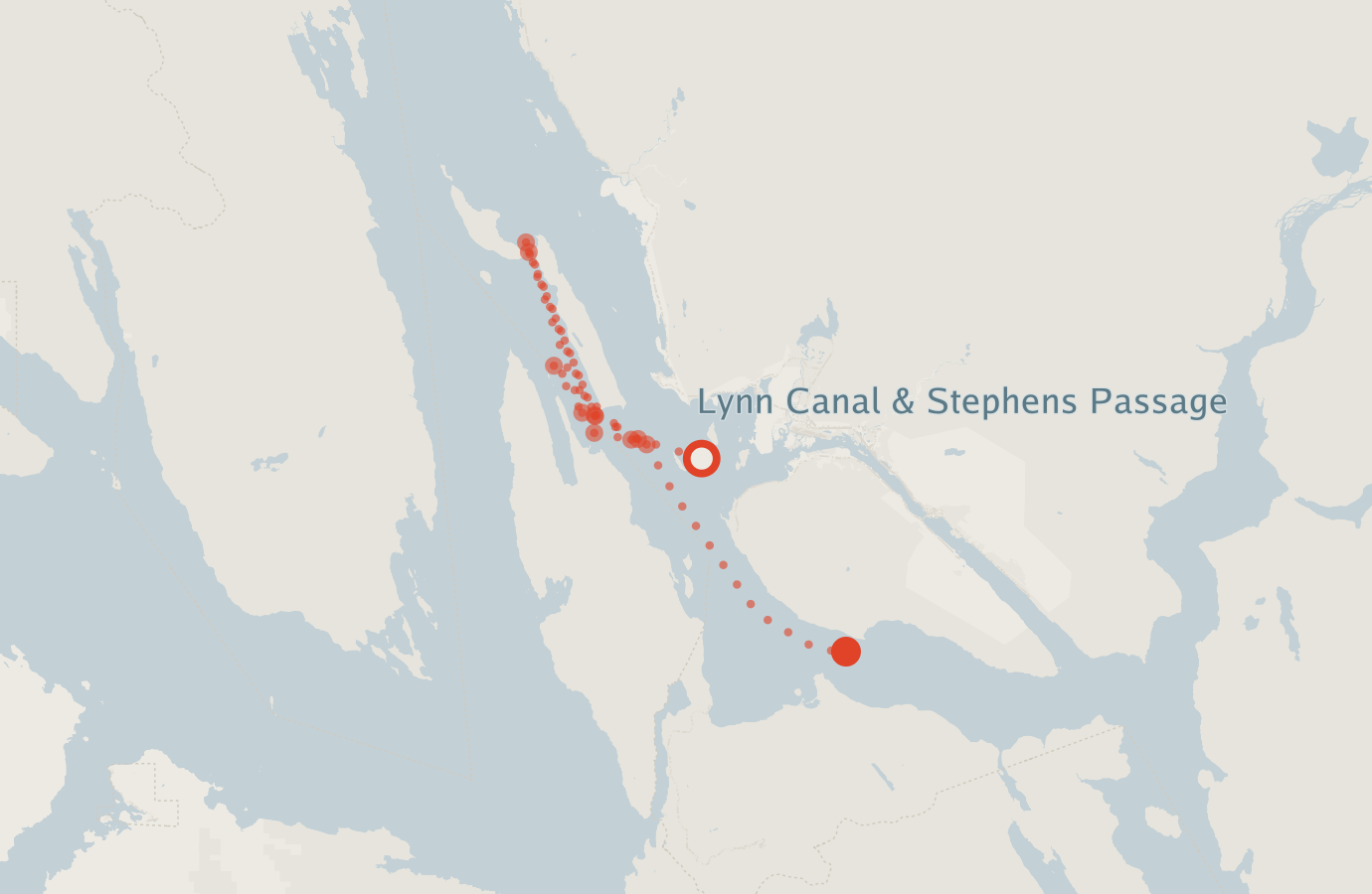 Activity map — real sighting points on an OpenStreetMap basemap